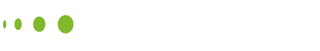 Bleckmann Informationssysteme – Logo
